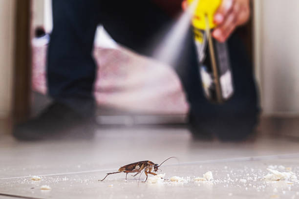 Best Pest Control for Restaurants  in Palacios, TX